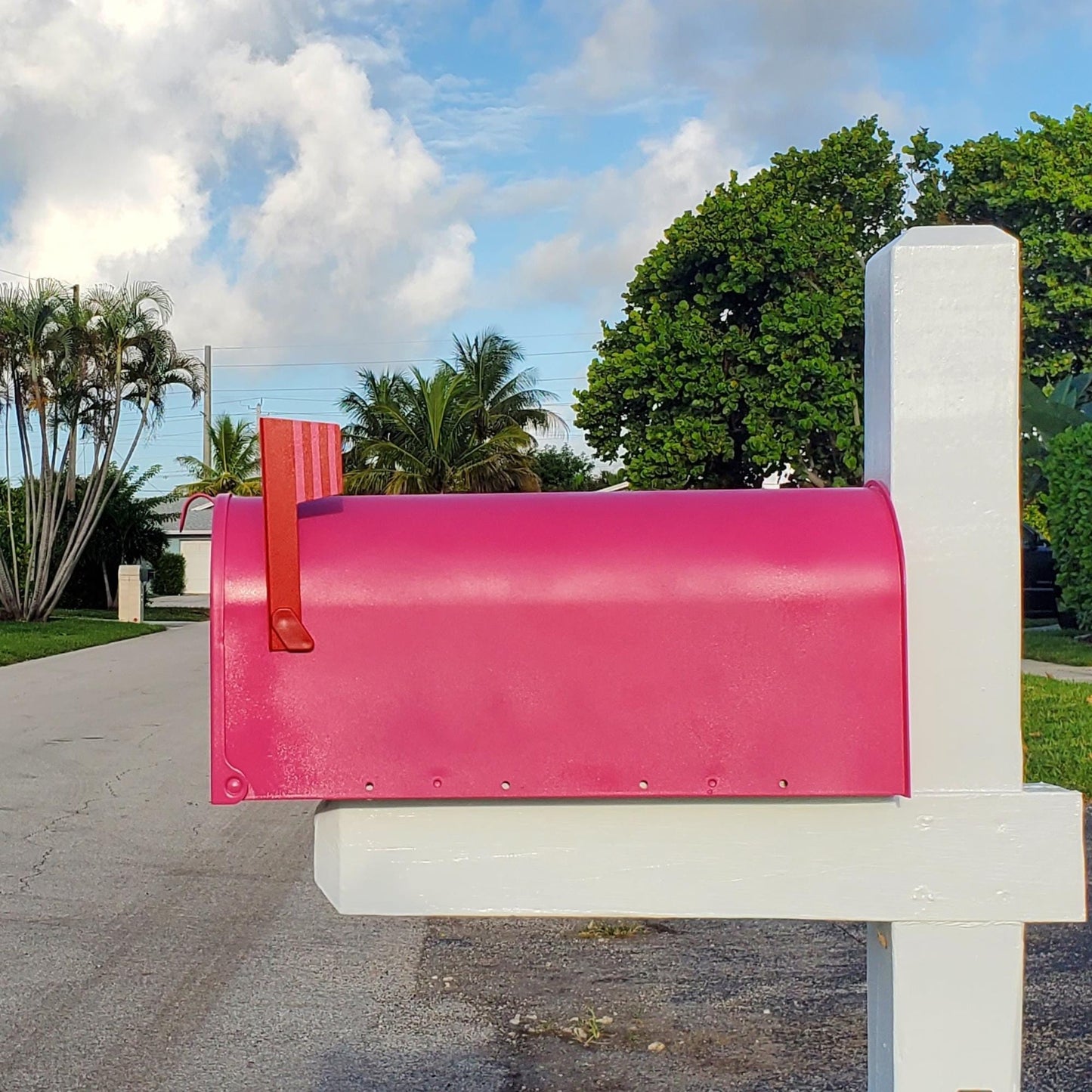 Berry Pink Mailbox