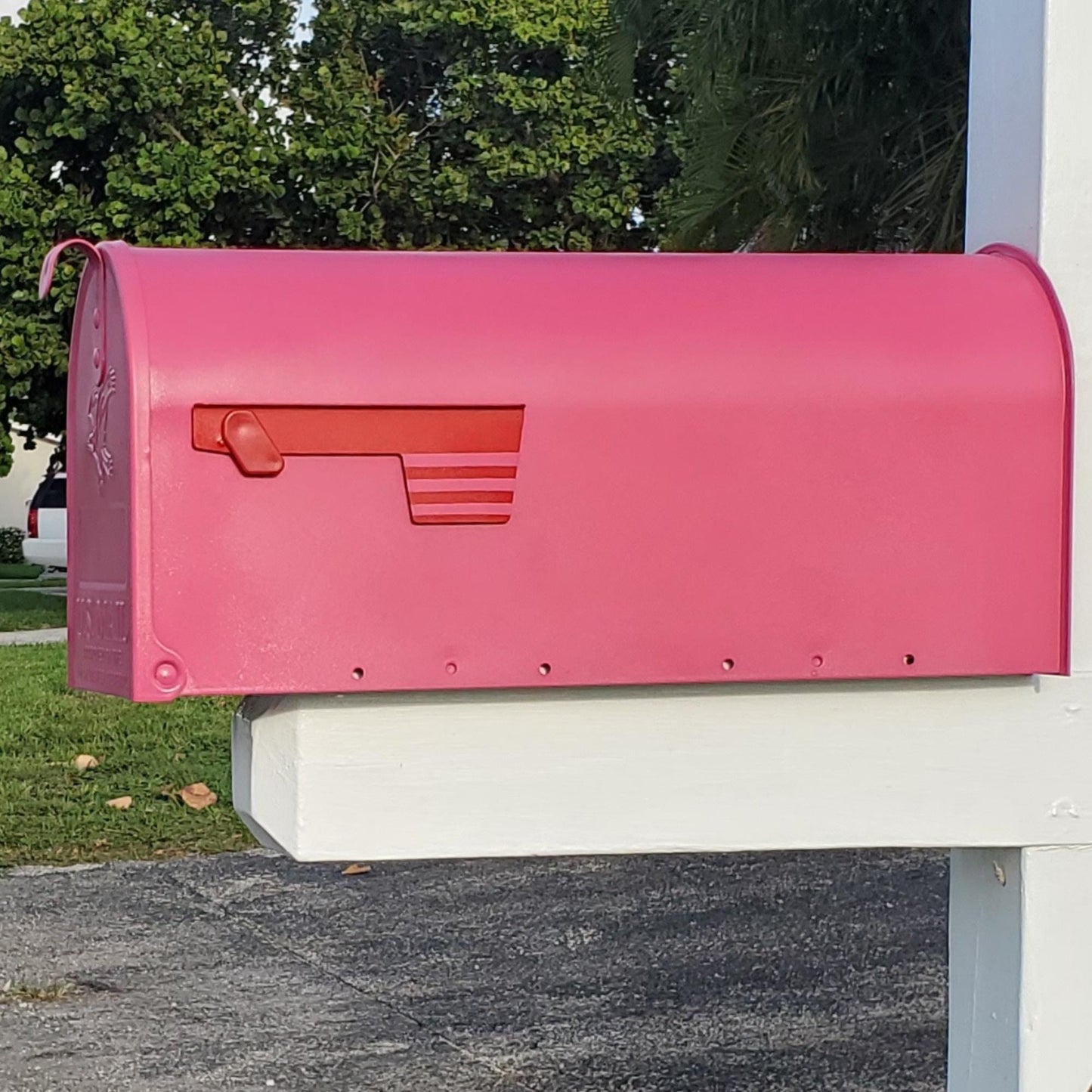 Berry Pink  Mailbox